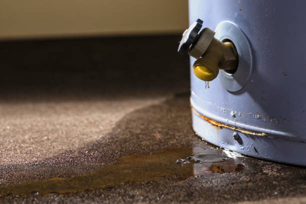 Best Sewage cleanup and water damage restoration  in Chadbourn, NC
