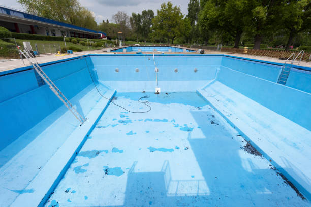 Best Mold removal after water damage  in Chadbourn, NC