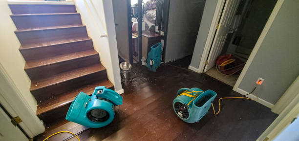 Best Carpet water damage restoration  in Chadbourn, NC
