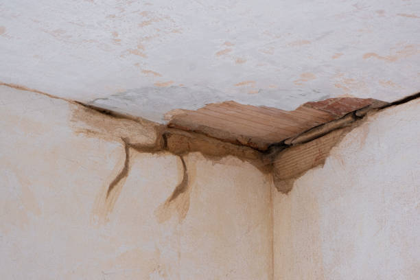  Chadbourn, NC Water damage restoration Pros