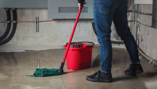 Best Residential water damage restoration  in Chadbourn, NC