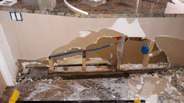 Best Flooded house restoration  in Chadbourn, NC