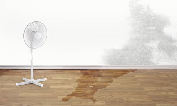 Sewage cleanup and water damage restoration in Chadbourn, NC