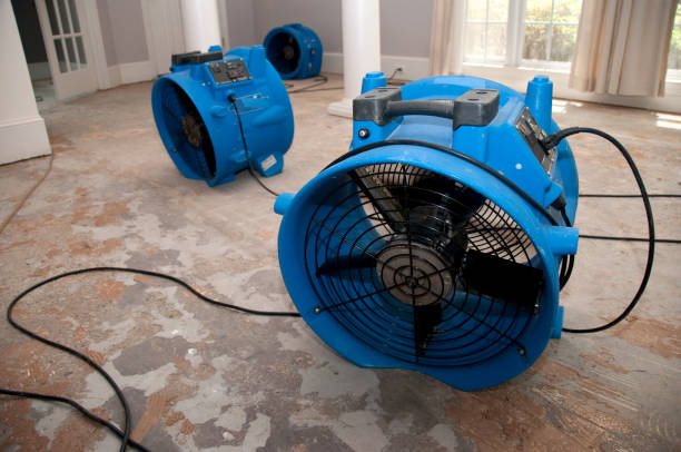 Best Basement water damage restoration  in Chadbourn, NC