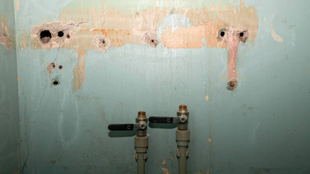 Best Flooded house restoration  in Chadbourn, NC