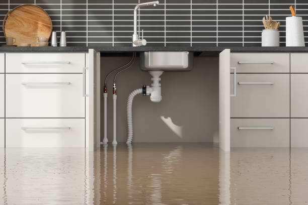 Best 24/7 water damage repair  in Chadbourn, NC