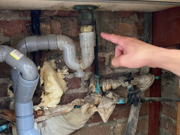 Best Water damage contractors near me  in Chadbourn, NC