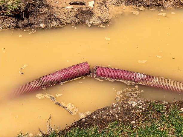 Best Local water damage restoration  in Chadbourn, NC