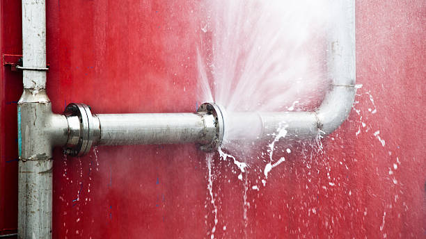 Best Sewage cleanup and water damage restoration  in Chadbourn, NC