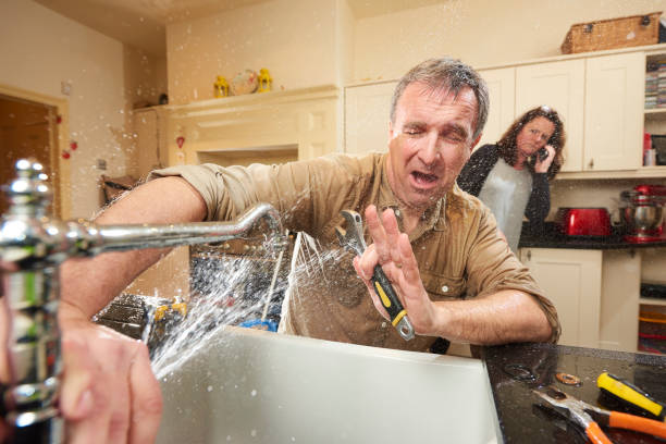 Best Flooded house restoration  in Chadbourn, NC